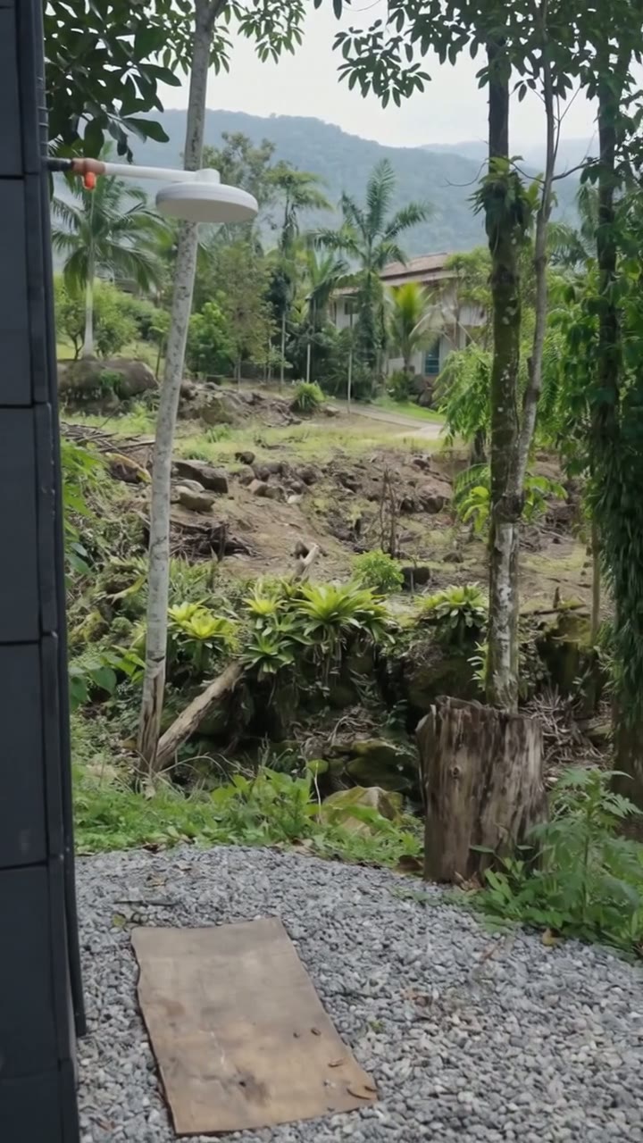 Vista da mata e da serra a partir do chalé